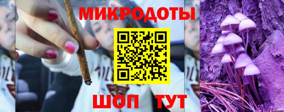 Псилоцибиновые грибы Psilocybe Барабинск