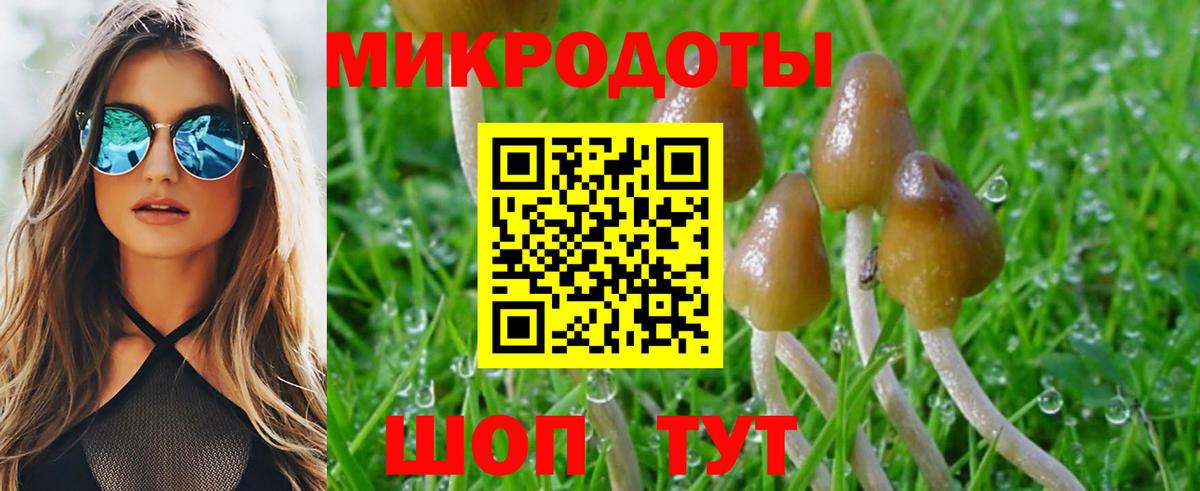 Галлюциногенные грибы Psilocybe  Вход с VPN  Барабинск 